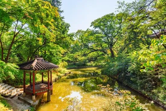 Huwon Secret Garden: A Hidden Gem in the Heart of Seoul