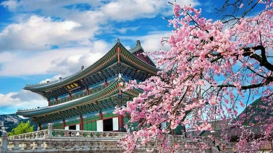 What to do in Seoul: A complete guide to the capital of South Korea?