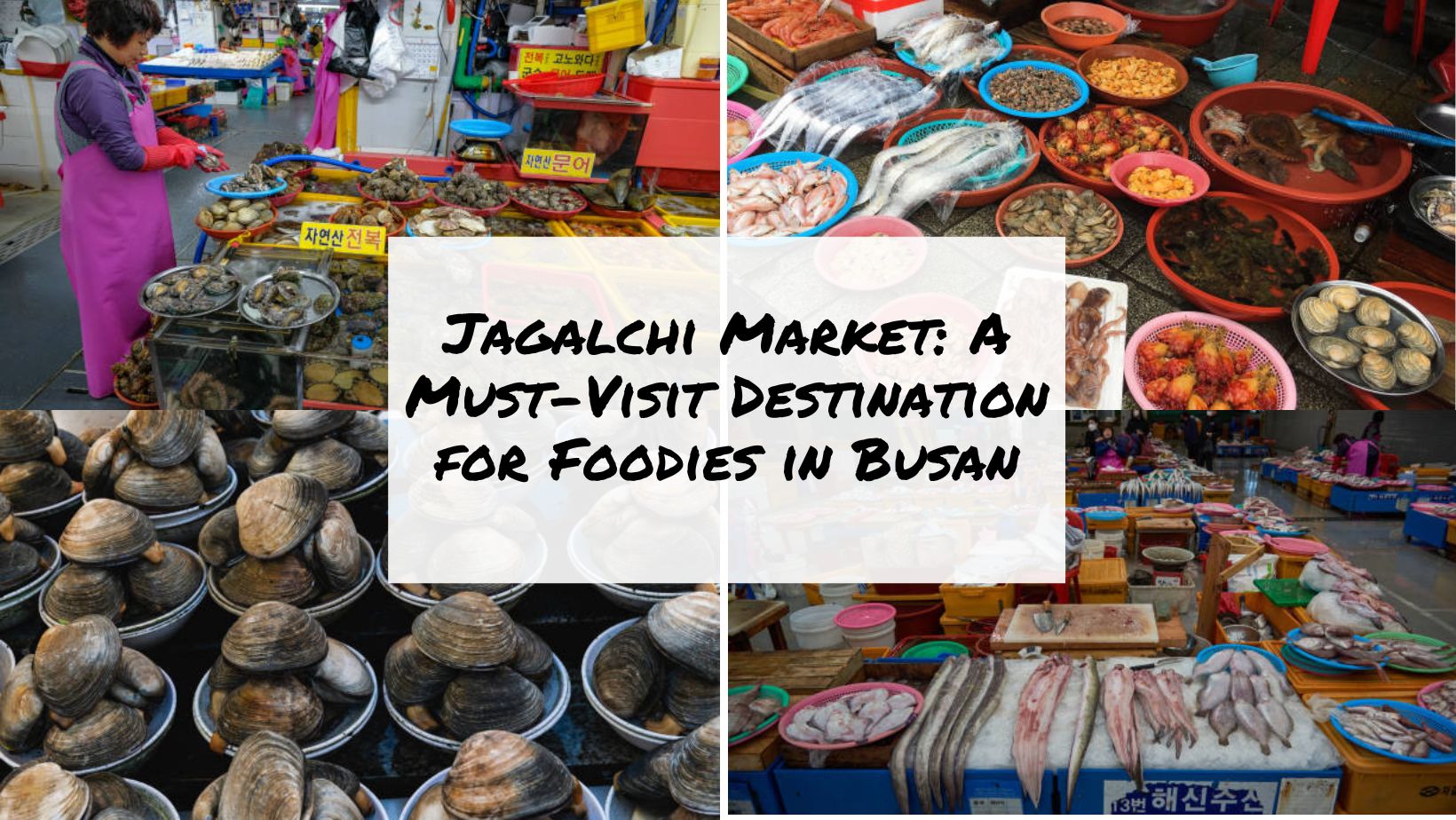 Jagalchi Market A Must-Visit Destination for Foodies in Busan