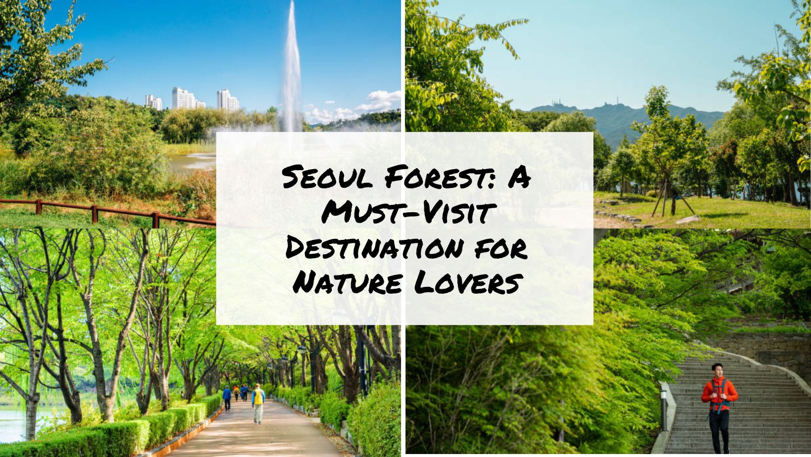 Seoul Forest A Must-Visit Destination for Nature Lovers